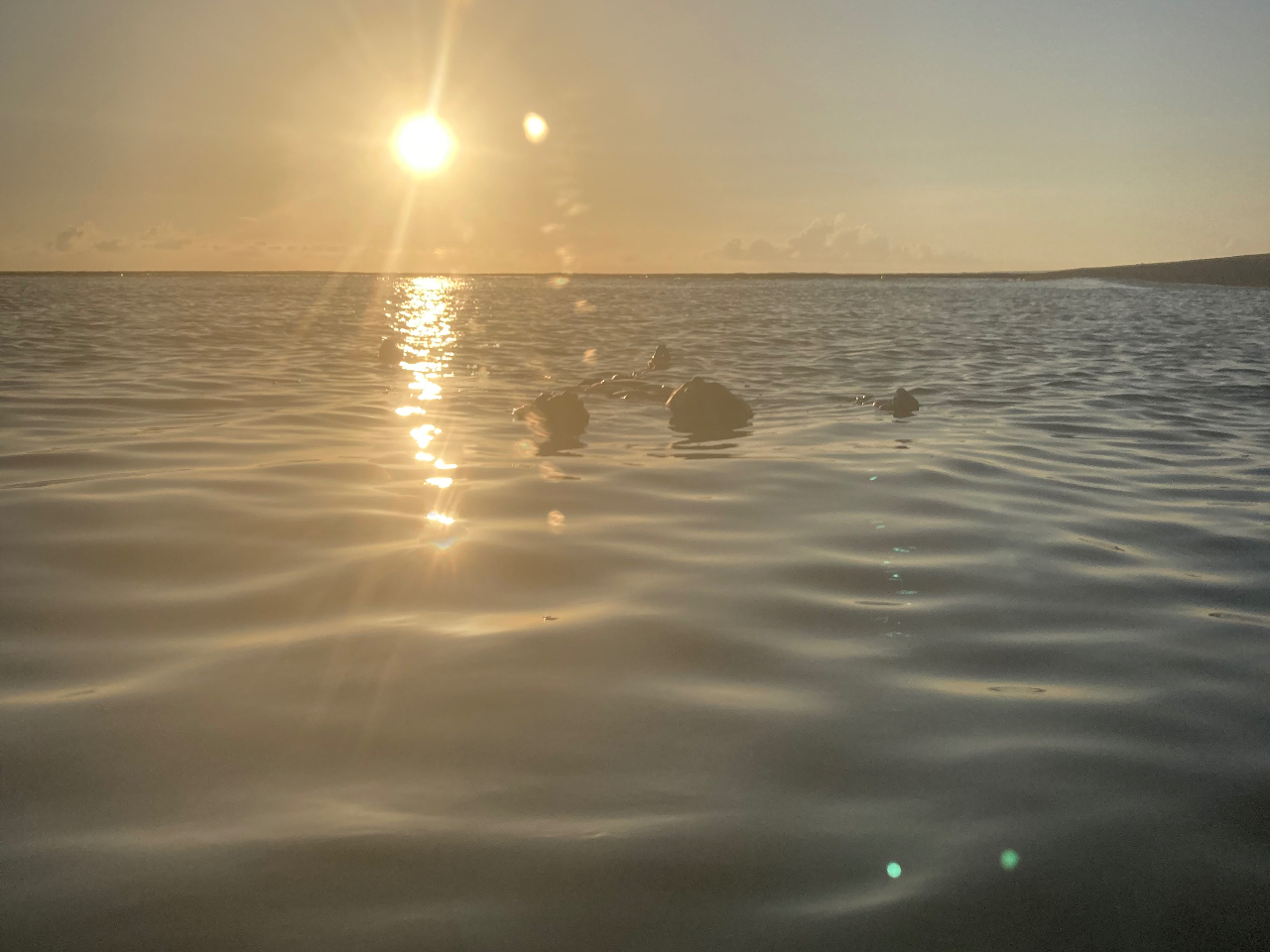 CɊ҂ґžŐŜtbVI Refresh your mind with a meditation experience!