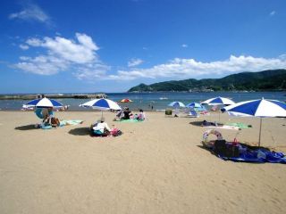 青と白のパラソルが目印です!お間違いのないようにお願いします。受け付けは、海の家前ですよ!