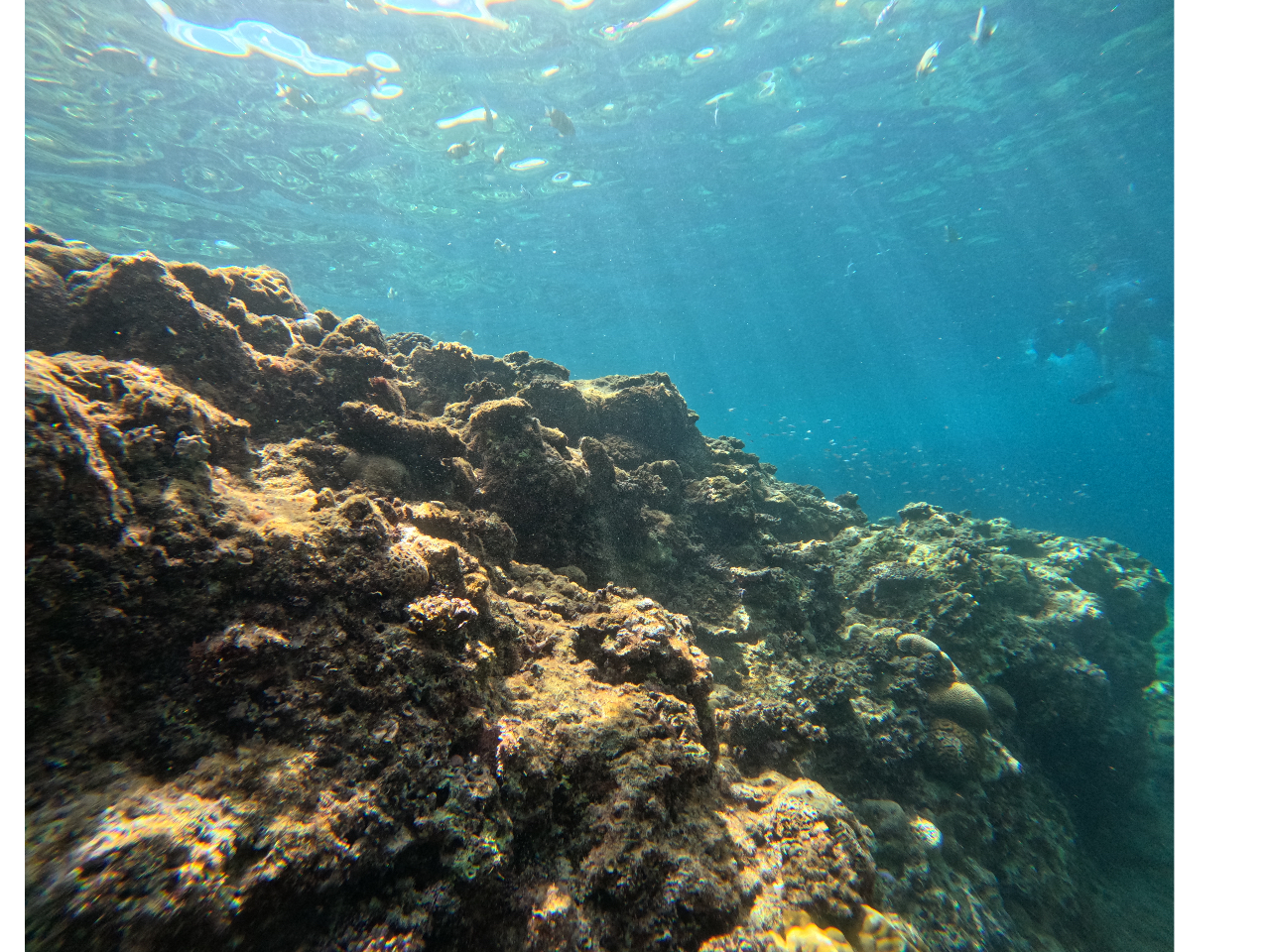 rIlȂAx̂1Ԃ8:00W̃_CrO߁I