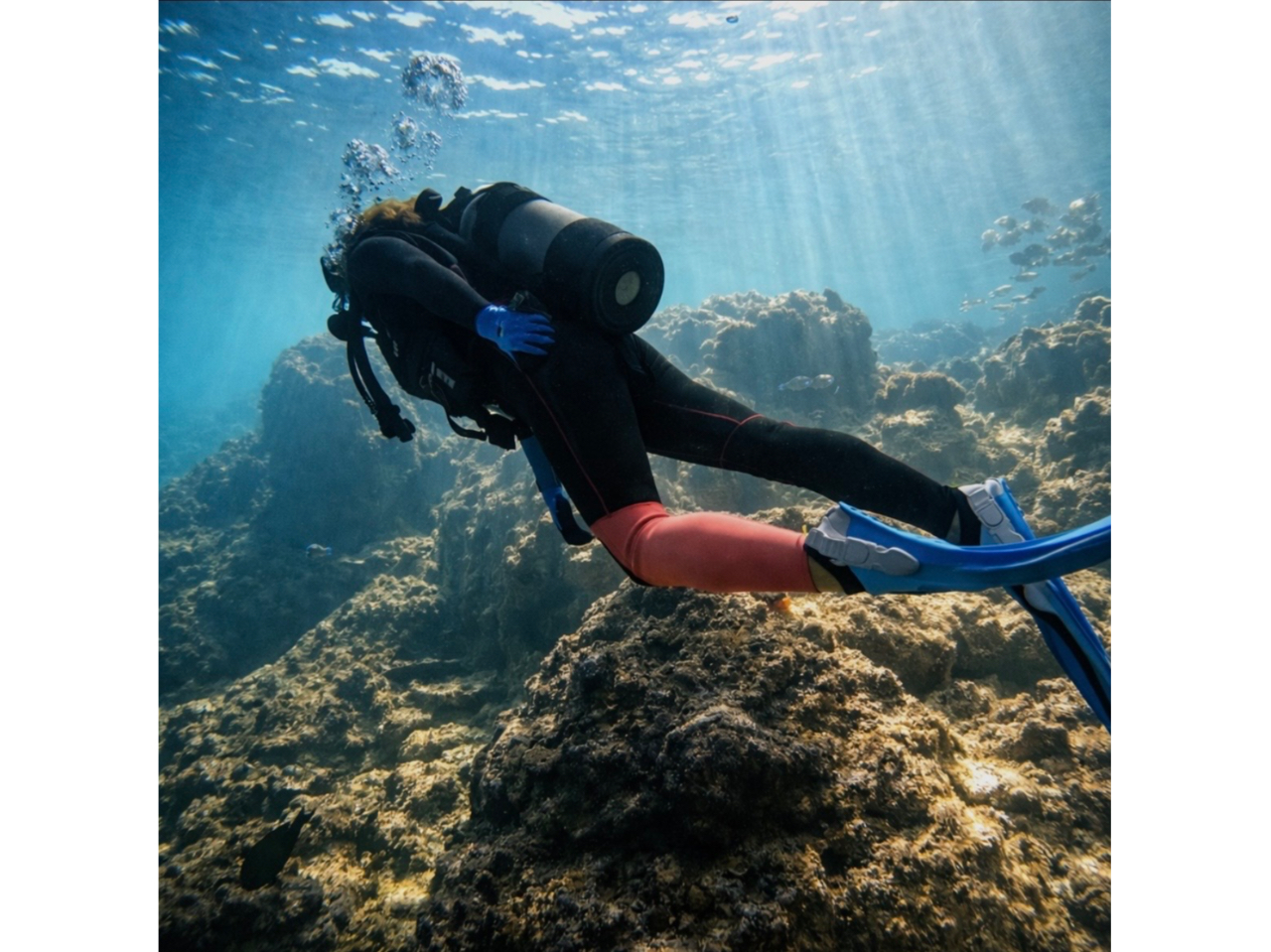 ��납��B���SNS�f���o�b�`����