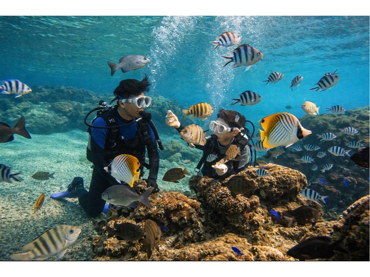 �a�t��Time!!�󐣂Œ��ꂵ�Ȃ���a�t�����܂��I