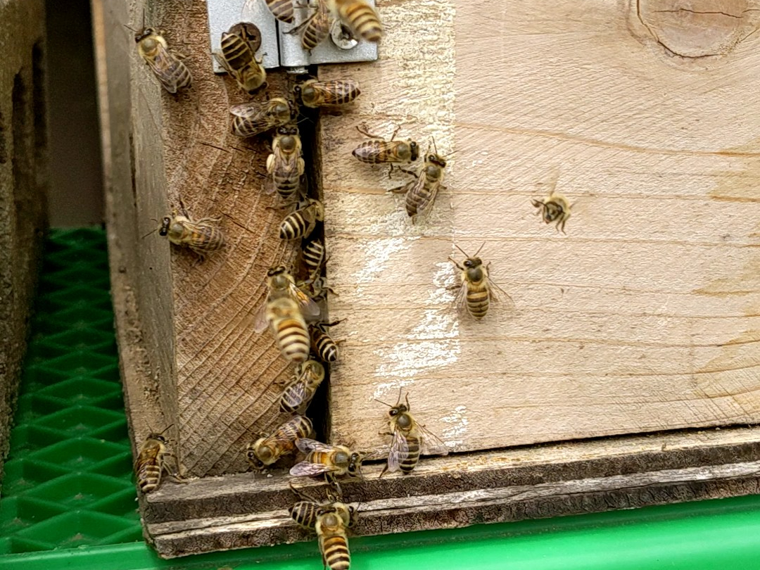 �����o���肷����{���I