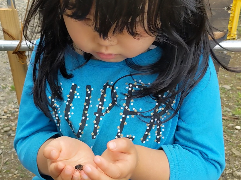 ���{���I�Ƃ̂ӂꍇ��