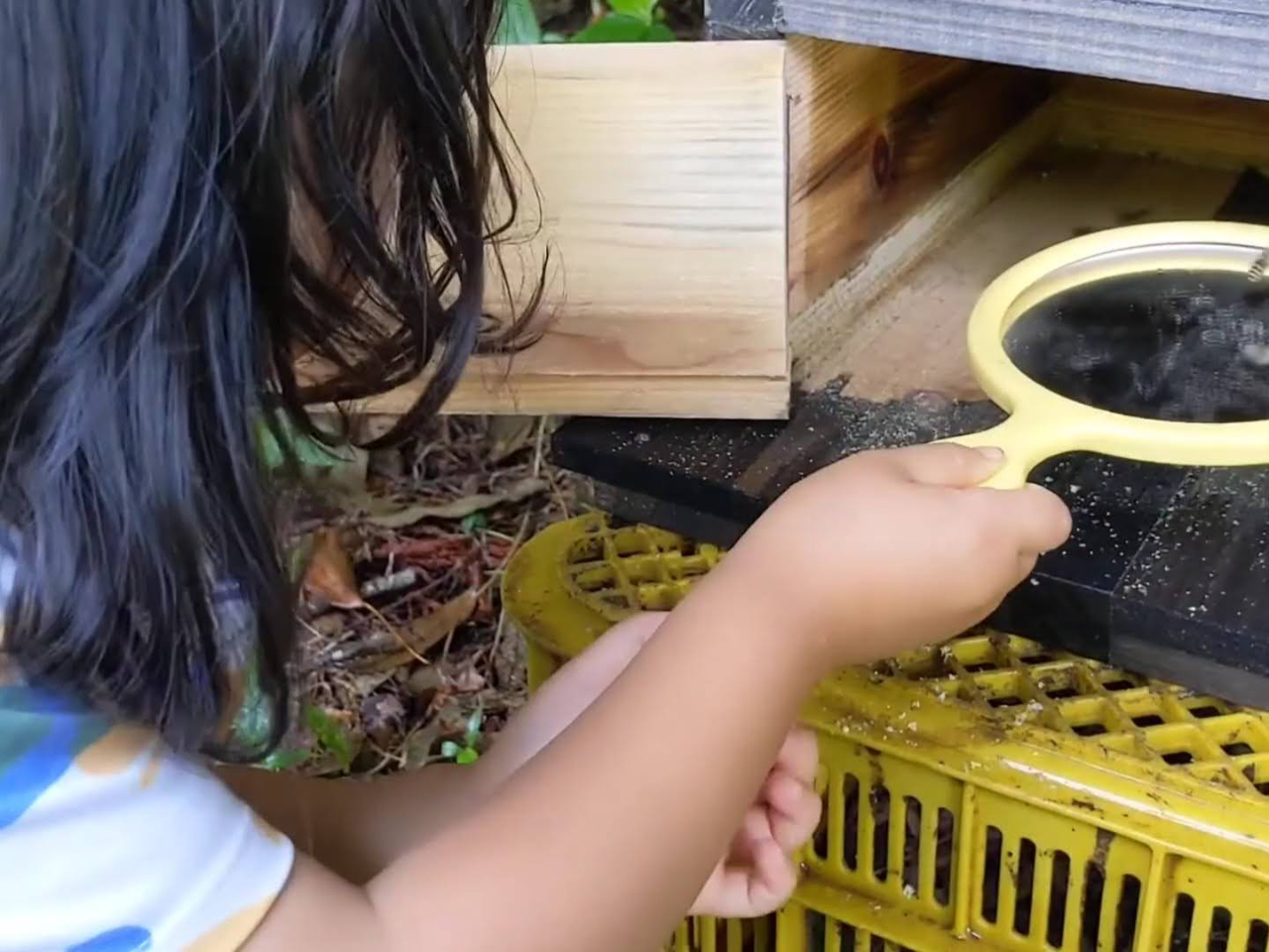 �����̒����ώ@