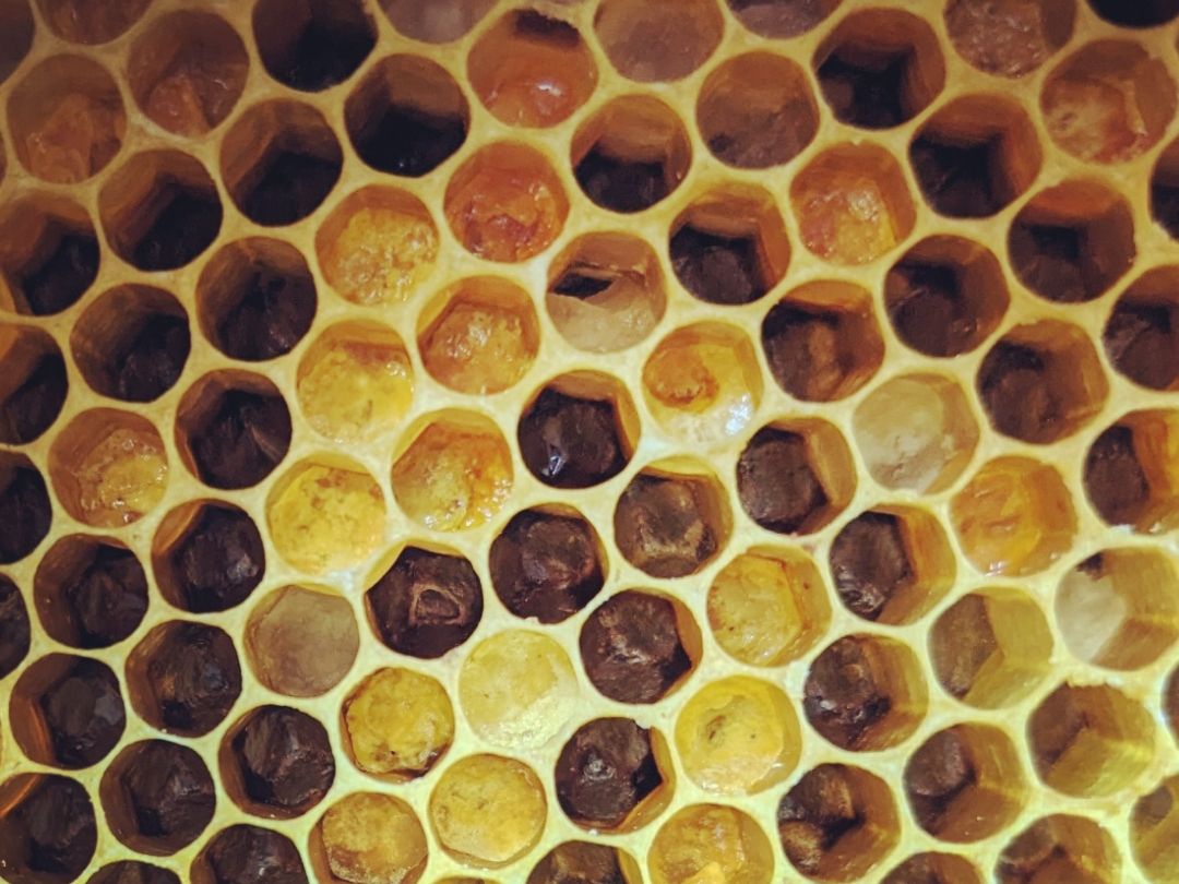 ���������[