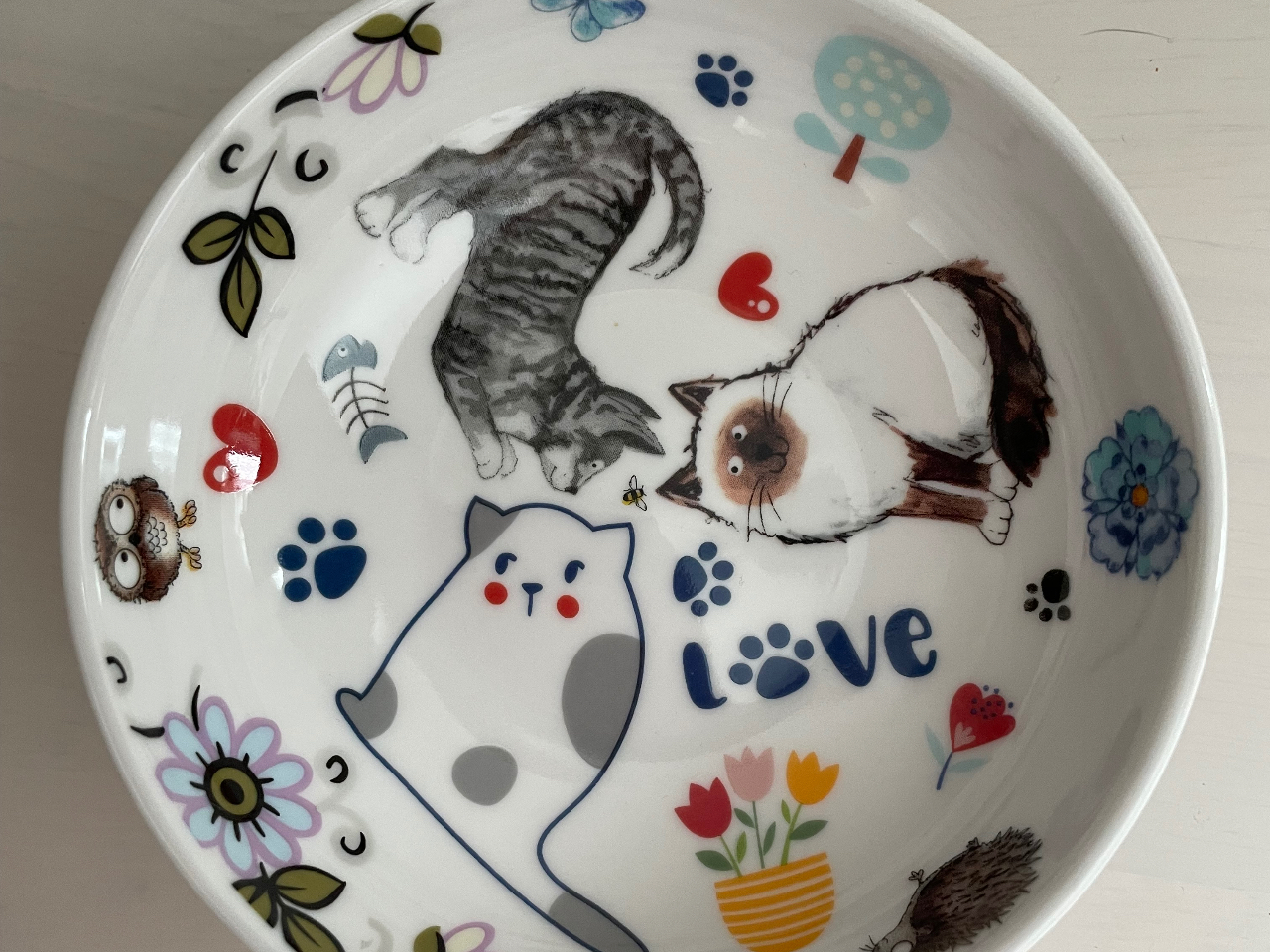 yv[gzgCAR[X12`15cm̃v[g̓Jbv̂ǂ炩IŁA30ނ̓]ʎ炨D݂̃fUCIŒ܂B