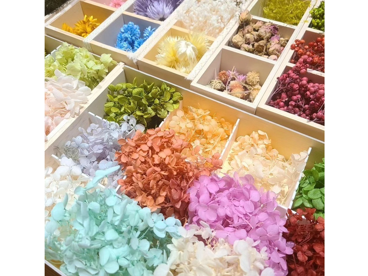 v[ĝD݂̃J[ł̐\I