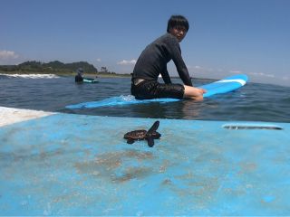シーガイアのきれいな海で貴重な体験をどうぞ★(子亀とパチリ!)