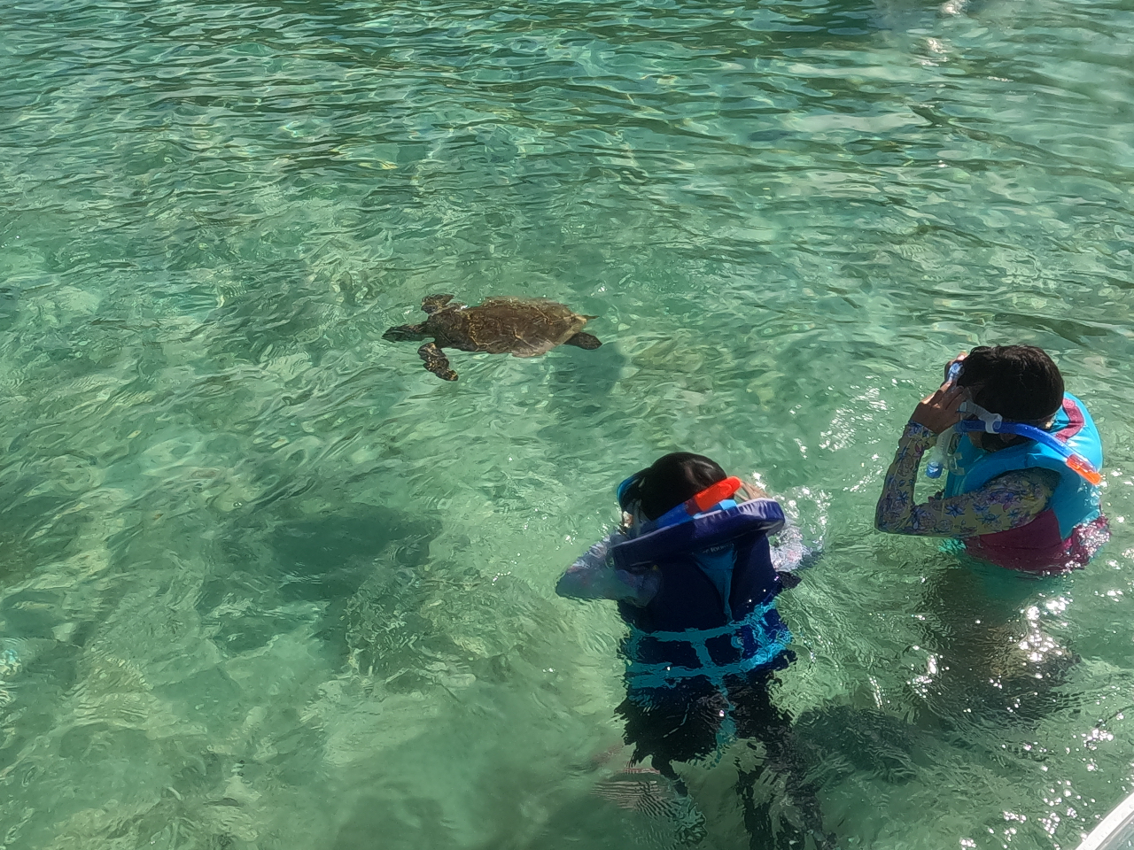 Ȃɋ߂ɃE~KĂĂ邱ƂI