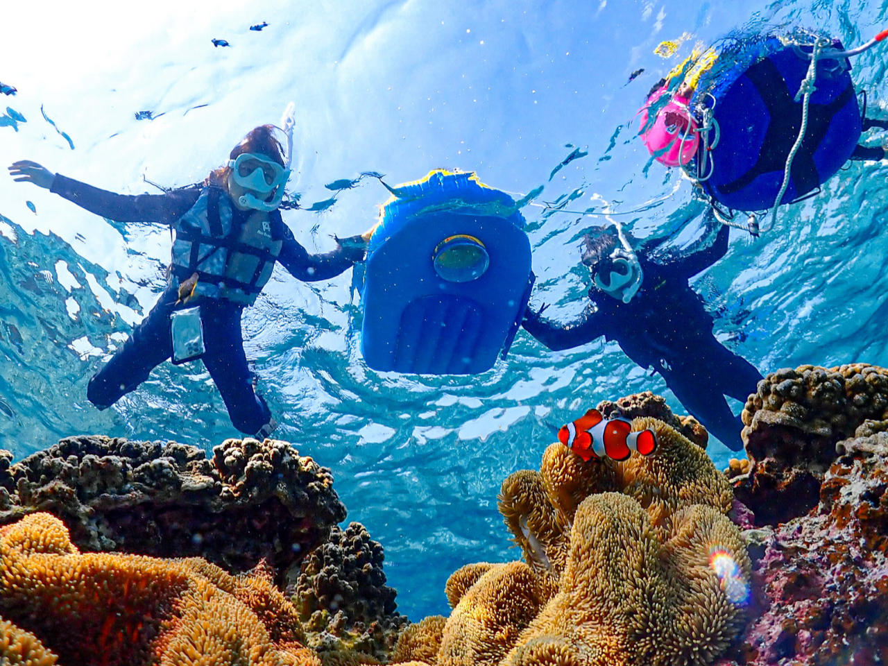 Ȃql͕ւɏĂAcA[ɂQ܂IKlݒuꂽ`܂̂ŊC̒邱Ƃ\łI 