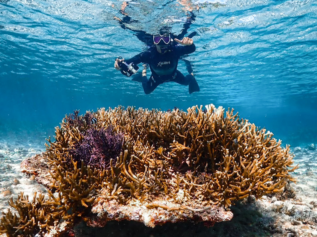 経験豊富なガイドのもと、安心してツアーに参加して頂けます!初心者や泳ぎが苦手な方もお任せ下さい!