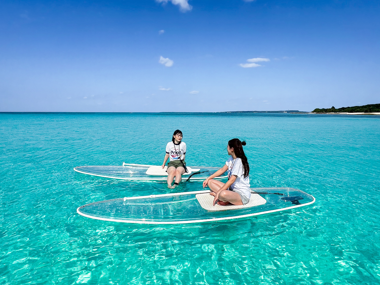 �{�Ãu���[��