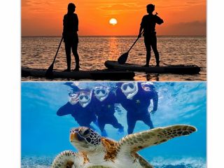 【迷ったらこれ!お得なセットプラン】