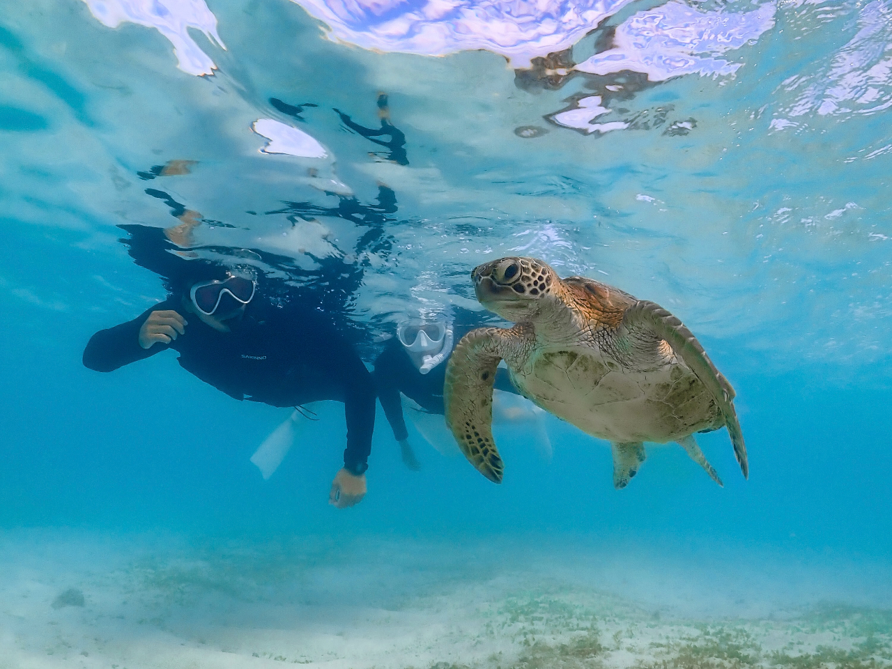 �����قł͖��킦�Ȃ��h�L�h�L��̌����܂��傤��