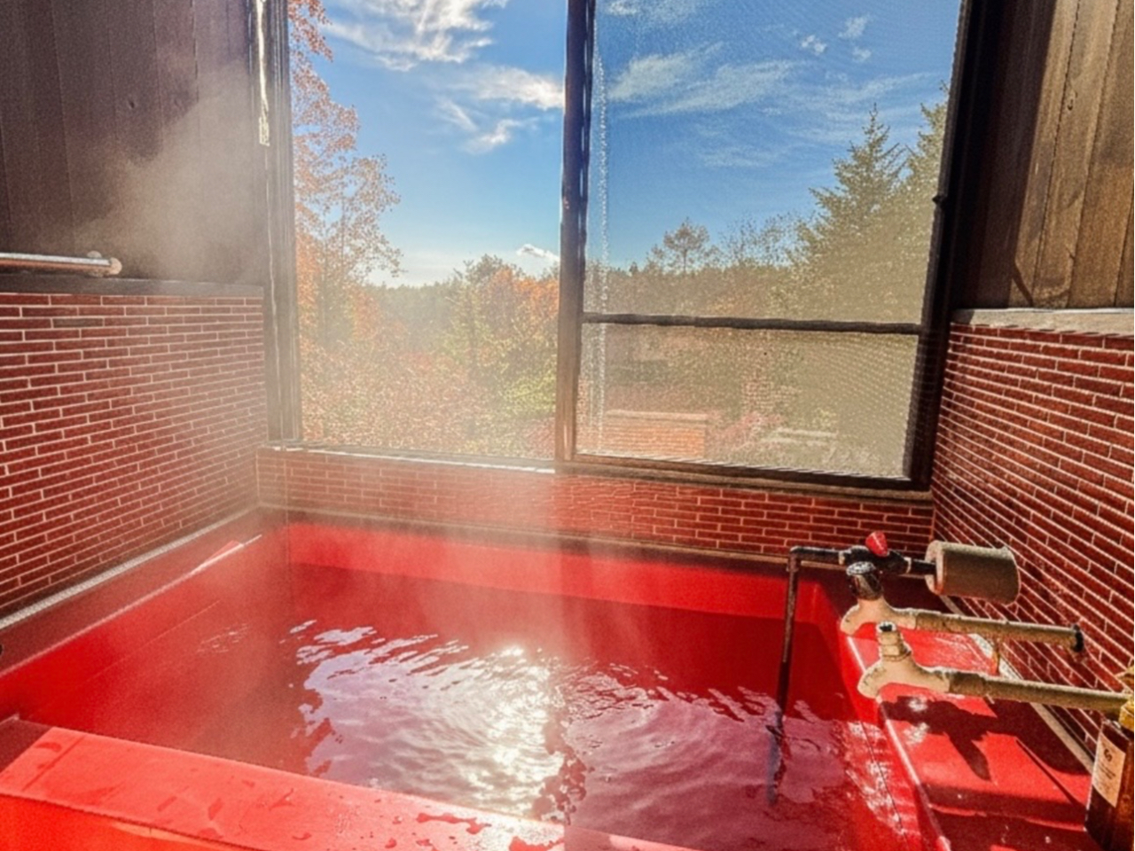 ����|�������̂����C����͑厩�R����]�ł��܂�