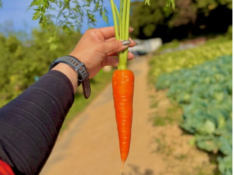 ɂ񂶂@L݂ȂƂĂÂIt͐؂ċAĂAĂOKI