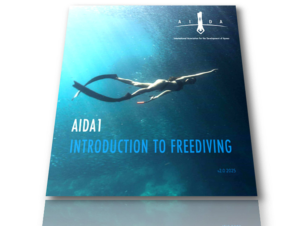 AIDA1t[_CrOR[X͓ҌvOłBPDFŃ}jA񋟂܂Bł͉pł݂̂łQlƂĂɓ{񋟂܂B