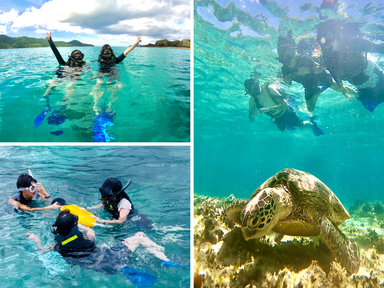 ☆☆☆11月末までオータムセール中☆☆☆
初心者大歓迎◎1組だけのプライベートツアーでウミガメと泳ぐ感動体験!