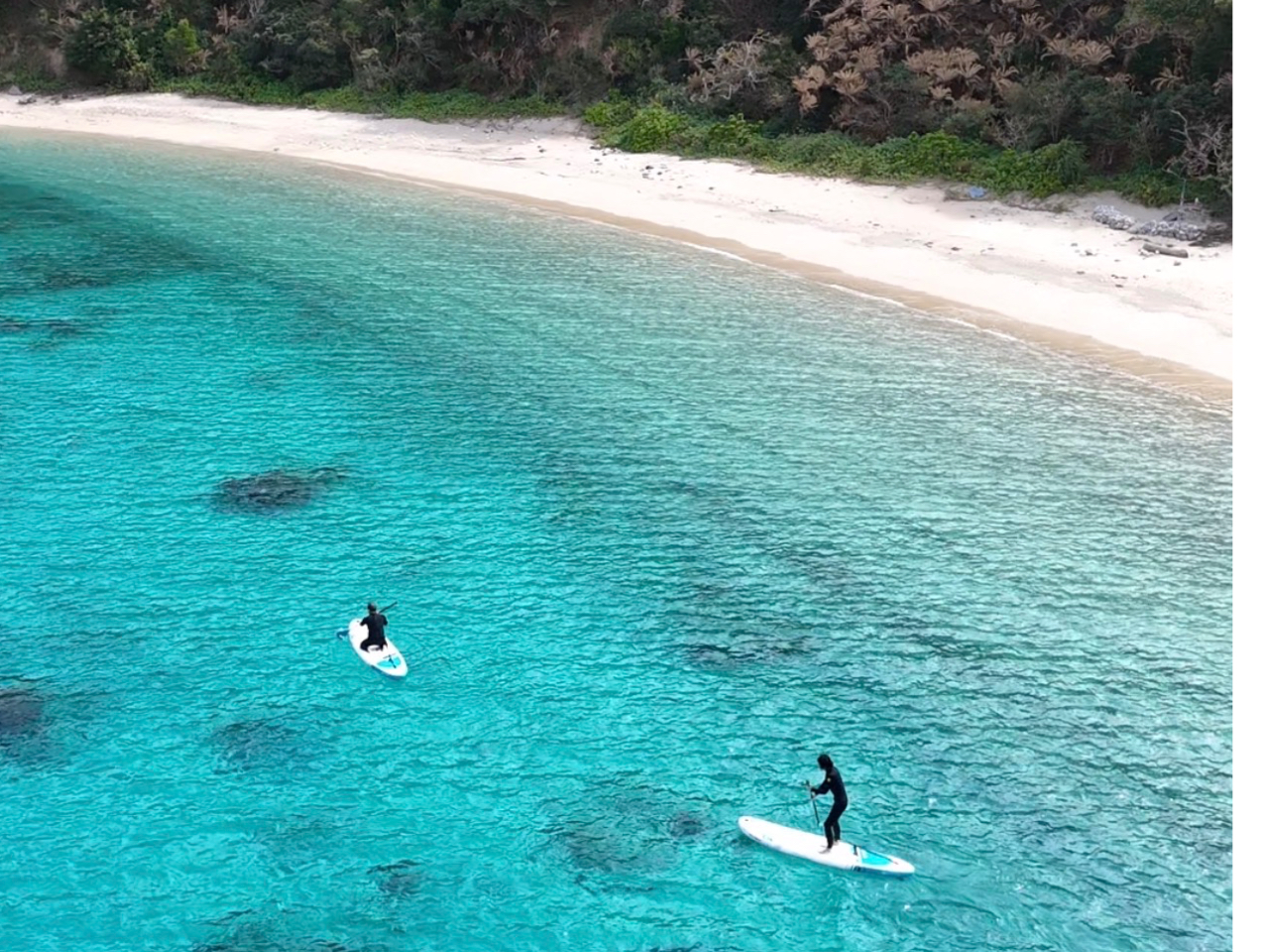 ���l�̃r�[�`��sup���y���߂�I