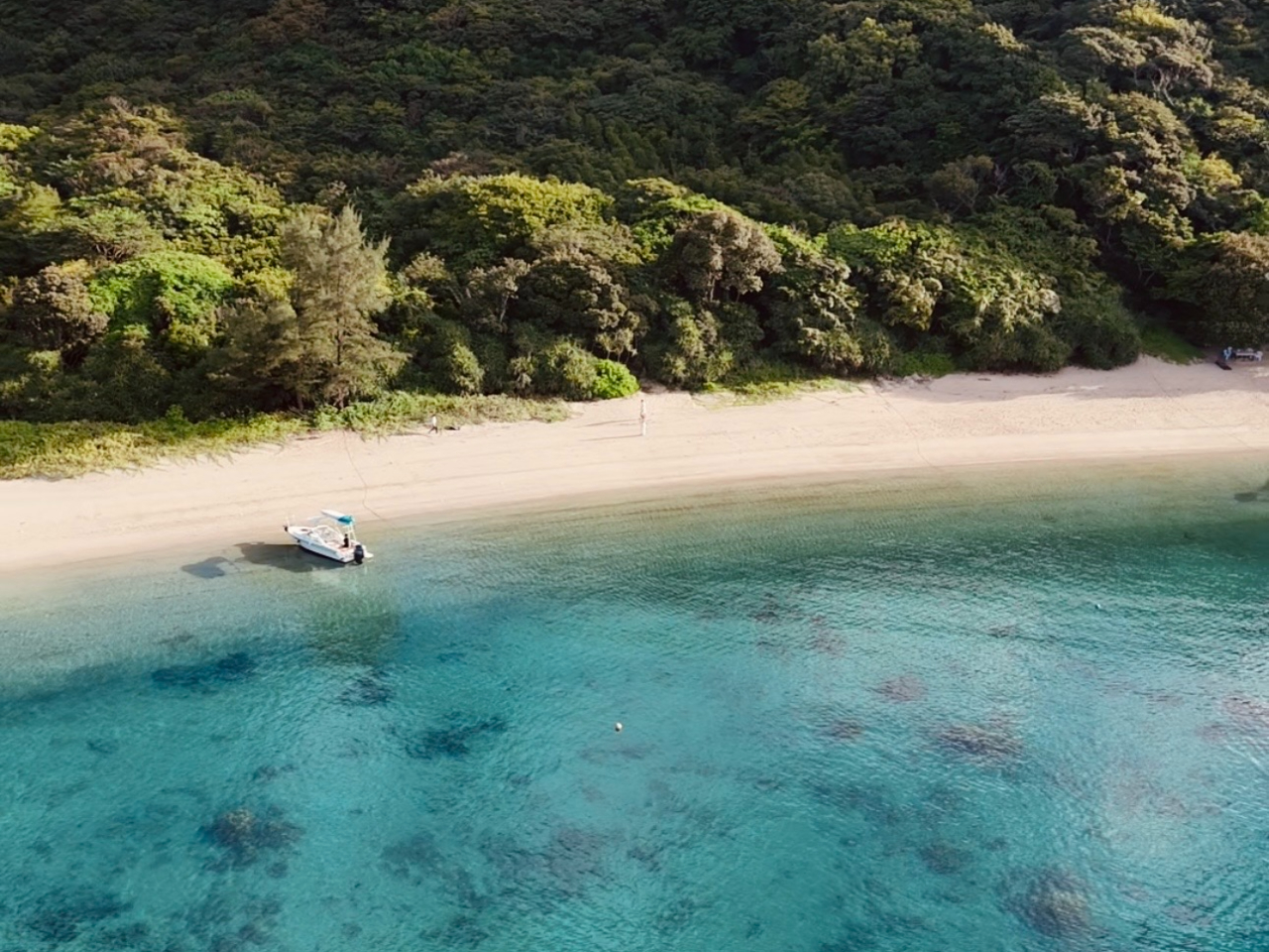 cA[ɖl̃r[`ɏ㗤II]ŃVm[PSUP̌ł܂