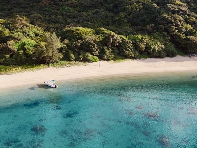 ツアー中に無人のビーチに上陸!!ご希望でシュノーケルとSUPも体験できます