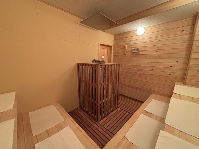 サウナストーンは「ガスタイナーストーン」と呼ばれる天然のラジウム鉱石を使用しています!