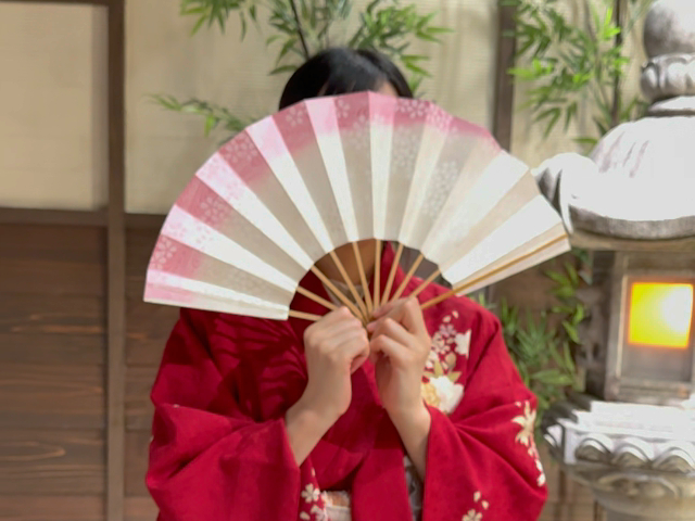 {ݓ́Aǂłłʐ^BeOKI