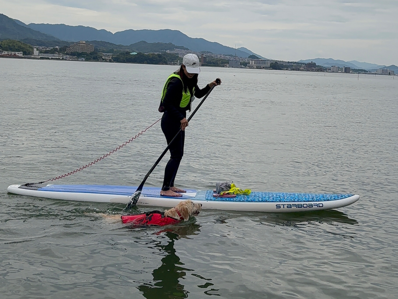 1日一組限定！宮島・大鳥居ドッグSUPツアー】愛犬と一緒にSUPができる