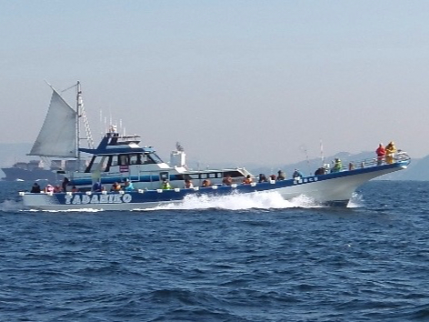 9隻のうち1隻バリヤフリー船完備