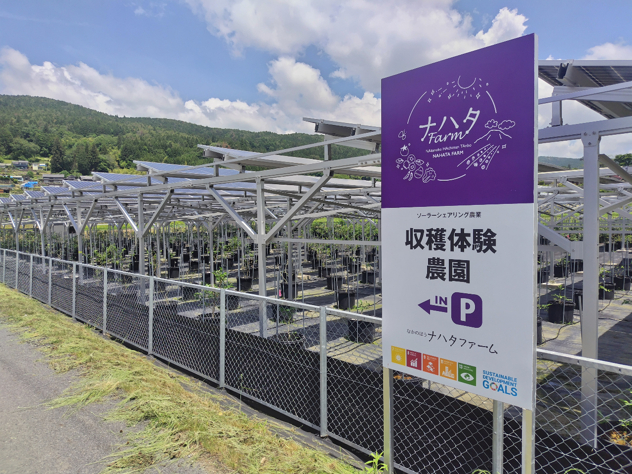 【恵那の癒し】鳥の声とそよ風の中で…30種ブルーベリー狩り★お土産&日陰あり