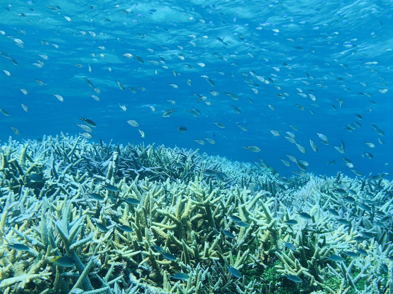 ȔMыyfoXY_Cz݂艮łЂƂڂƌĂ܂BނƁAʕt߂܂ŏoĂ܂