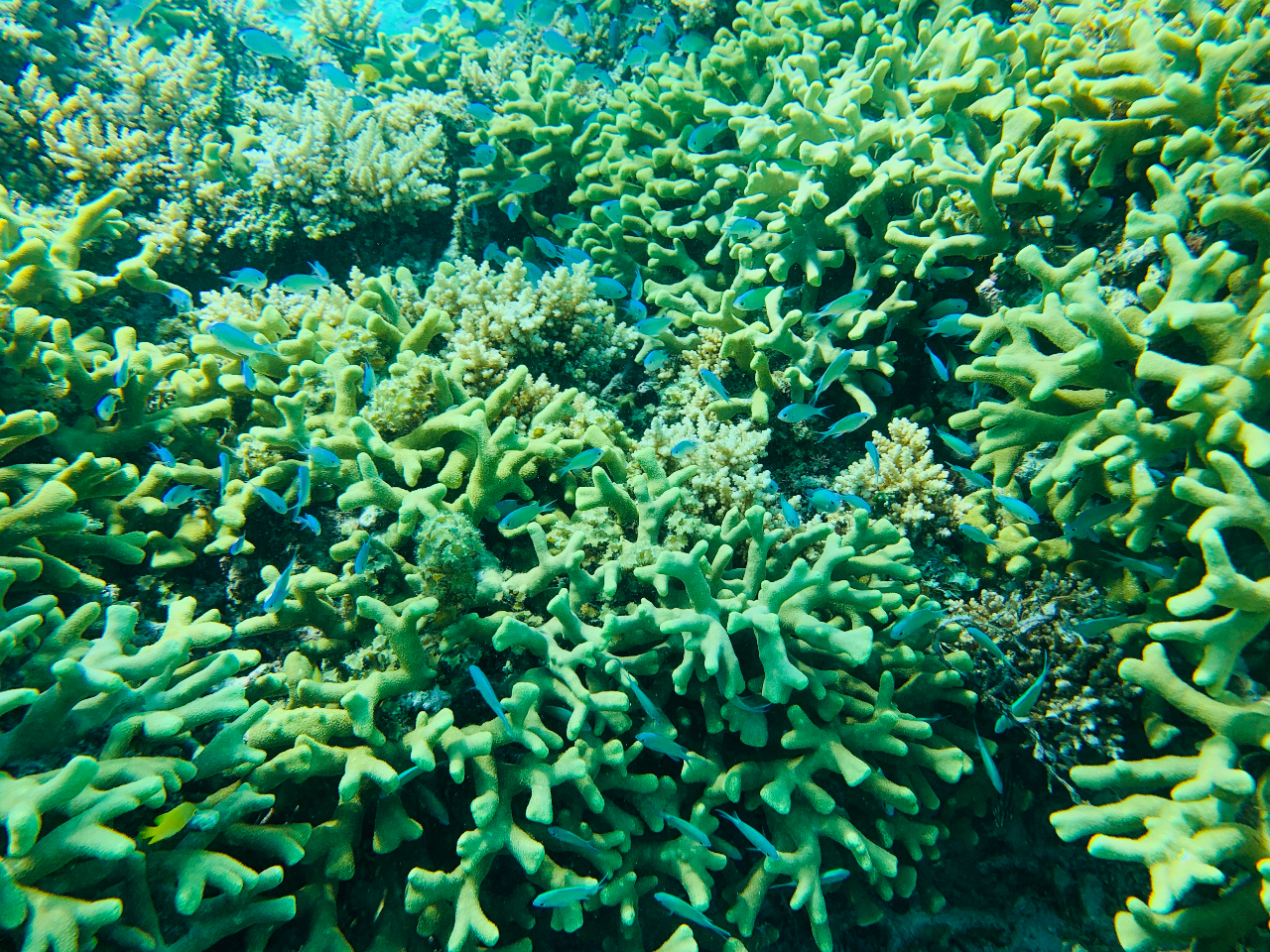 ȔMыyfoXY_Cz݂艮łЂƂڂƌĂ܂BCɂẮAD̏ォώ@邱Ƃł邩IH