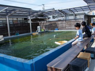佐賀の里山に広がる「美しい自然」に囲まれた癒しの釣りスポット!