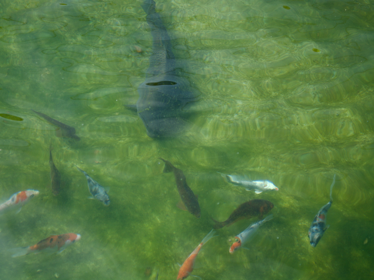 ނꂽ͎AĈĂ邱Ƃ\łIA邱Ƃꍇ͂kˁ