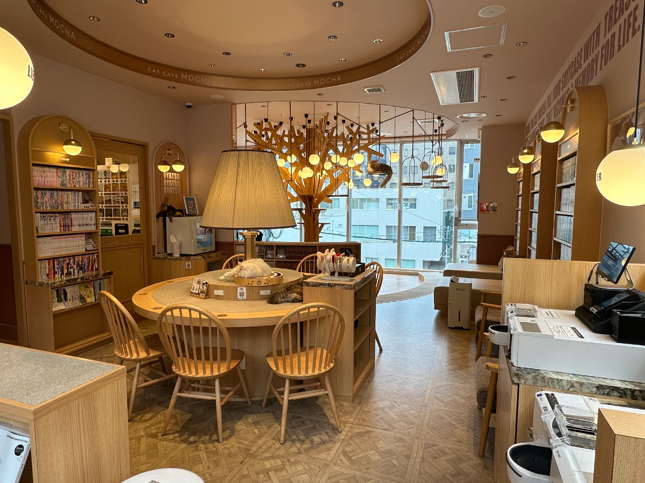 ドリンクバー付き1時間プラン♪／／【猫カフェ×天神大名】天神駅徒歩