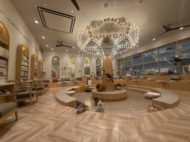 \\ドリンクバー付き1時間プラン♪//【猫カフェ×イオンモール福津】"Wi-Fi...