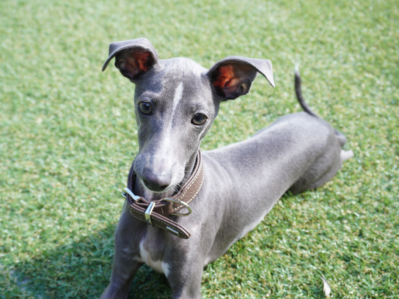 O̓BBQyނƂołIVRłňƂނȂAō̌iFāAō̂Ƃ𖡂키BBōłˁI