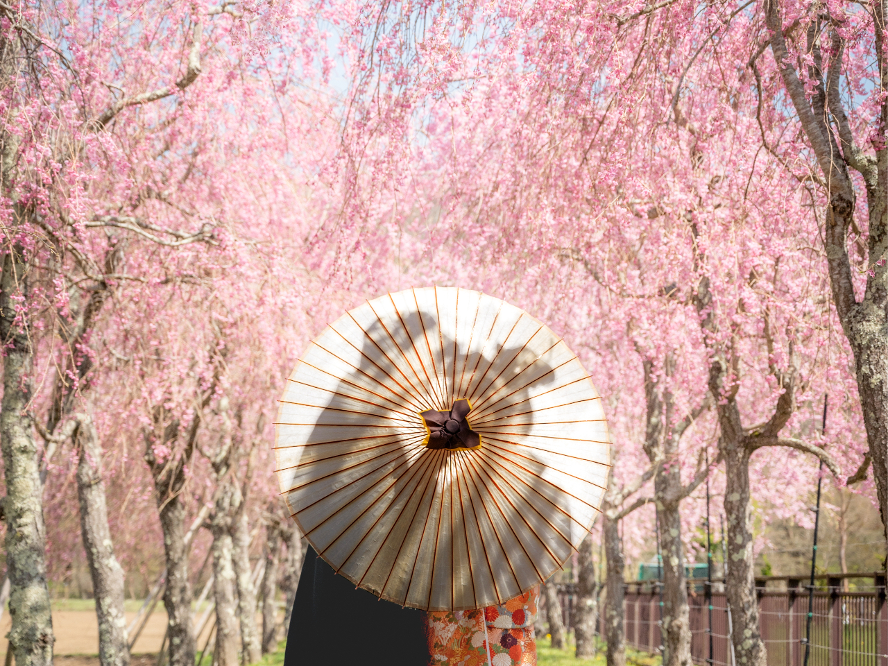 プロカメラマンが素敵な構図で思い出に残るお写真を残します。