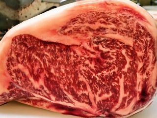 ※神戸会場限定プラン※【神戸牛BBQロースプラン】神戸牛厳選赤身ステーキ・黒毛和牛赤身ロース・神戸ポークプレミアム豚ロース・季節の焼き野菜等