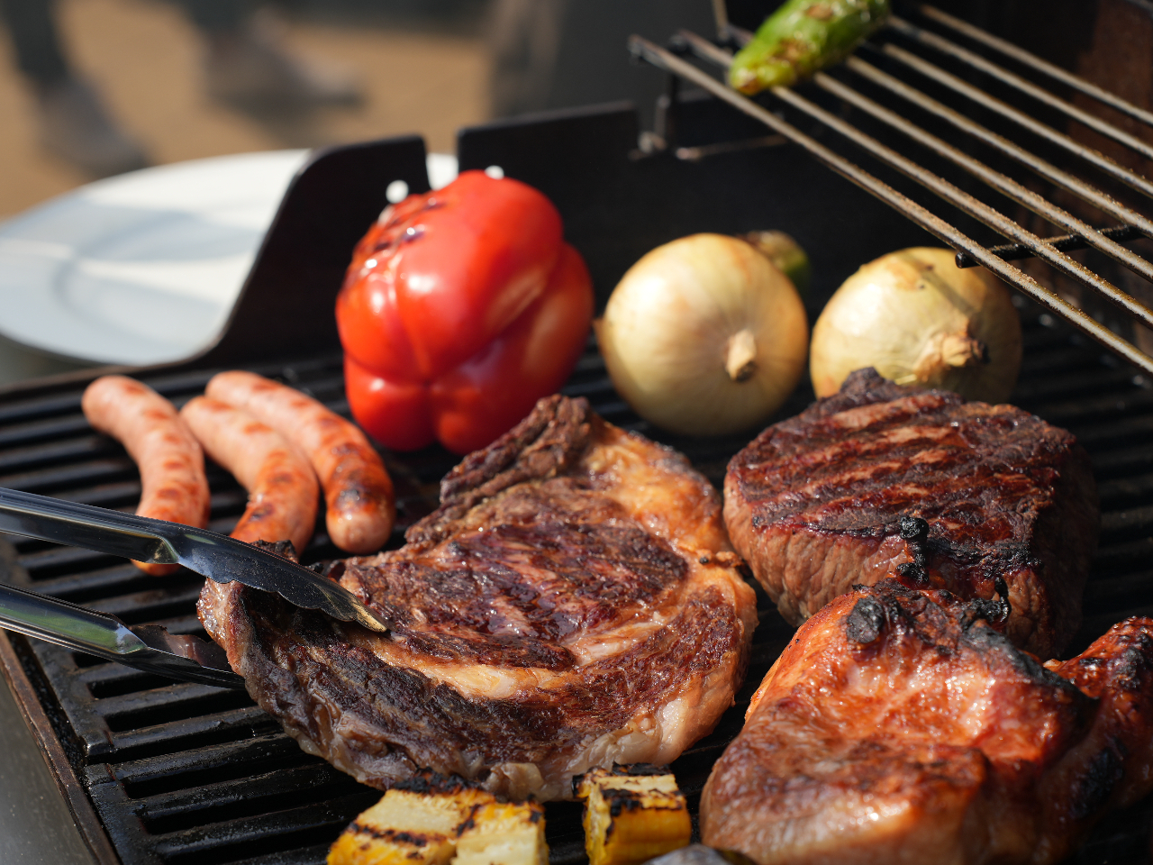 ؂{IɊۏĂłI{iIBBQ̌񋟂܂I