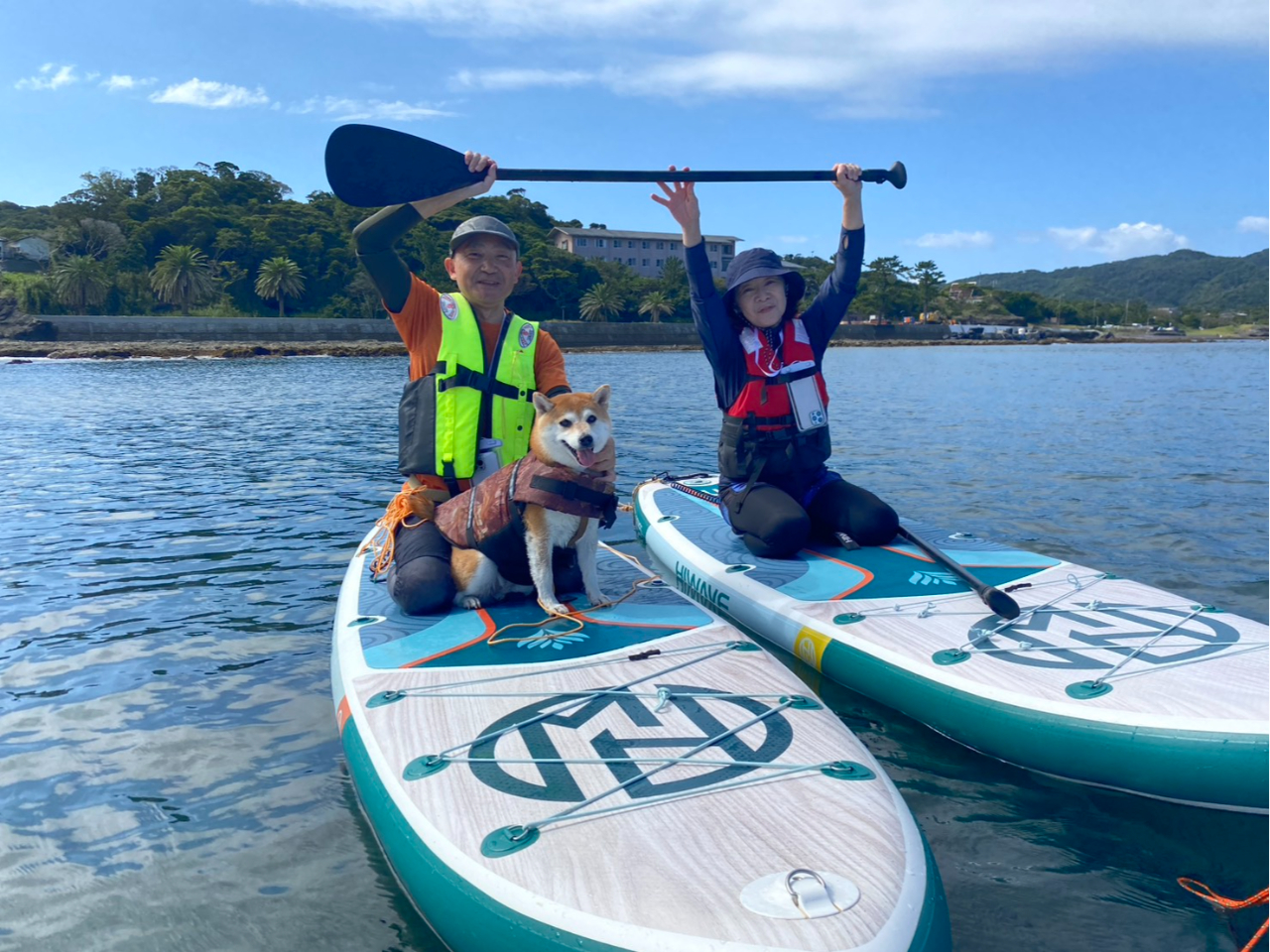 館山×SUP】【サップ&ドッグサップ】 富士山が見える海でわんちゃんとの