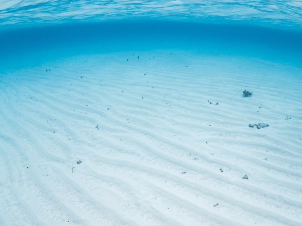 �Y��ȊC�I�I