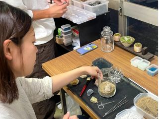 石の配置