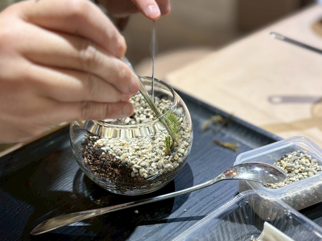 \実店舗オープン/【北海道/札幌】癒しの苔テラリウム作り体験 ~自然を手のひらに...