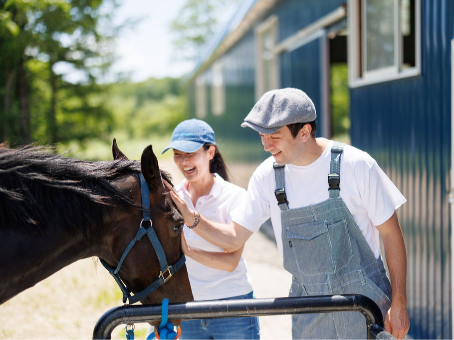 【送迎あり】北海道・はじめてのホーストレッキング・45分|ハートランチ牧場で乗馬...