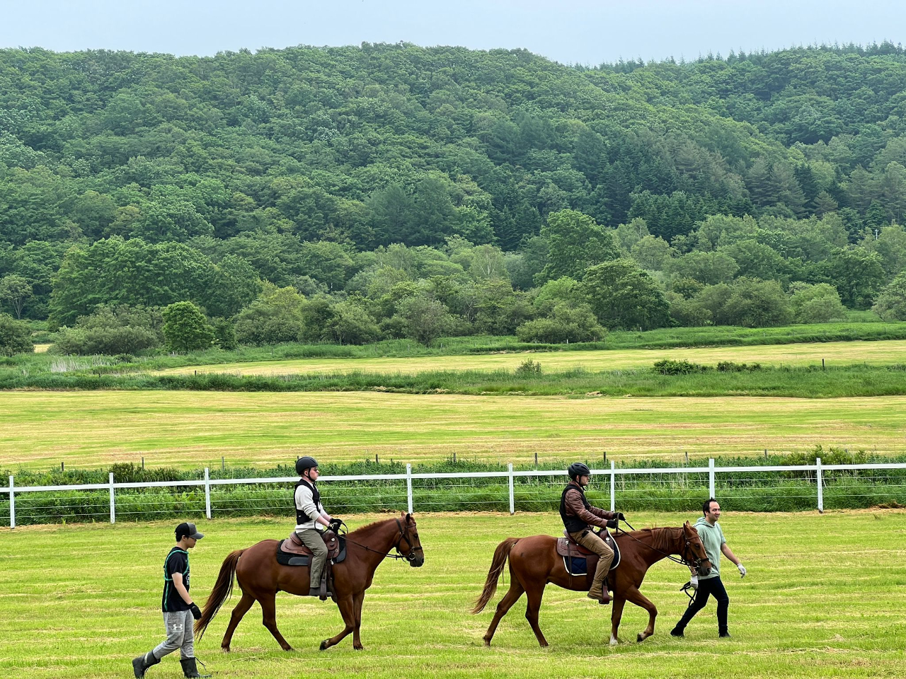 �n�ɏ���Ďv���o��1��������܂���