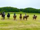 広大な牧草地でのトレッキング