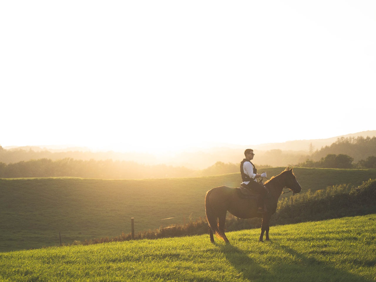 【送迎あり】北海道の大草原で、パノラマビューを楽しむ高台ホーストレッキング 90...