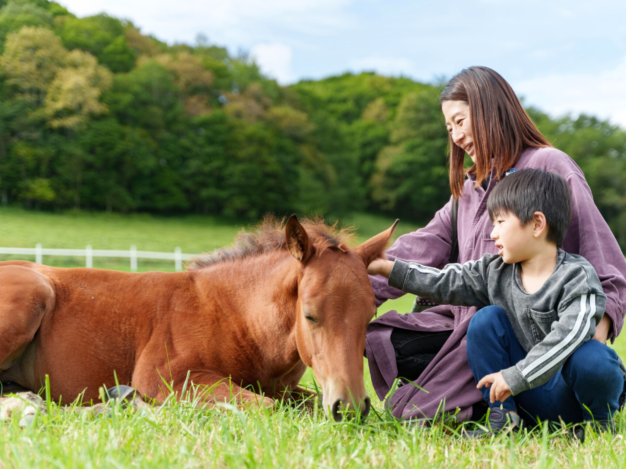 Heart Ranch�q��̎ʐ^2