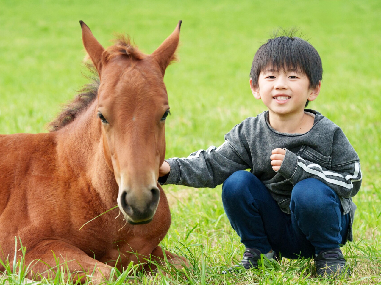 Heart Ranch�q��̎ʐ^3